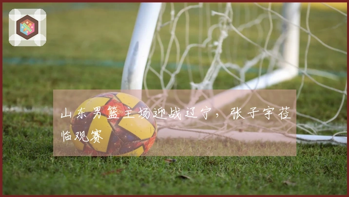 山东男篮主场迎战辽宁，张子宇莅临观赛